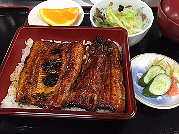 魚徳