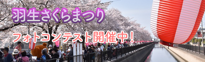 羽生さくらまつり