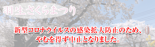 第34回 葛西堤羽生さくらまつり 第34回 葛西堤羽生さくらまつり