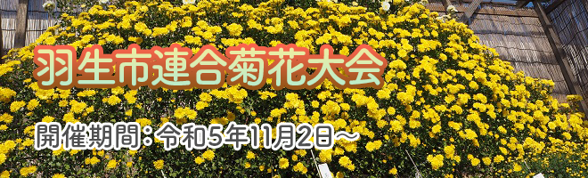 羽生市連合菊花大会