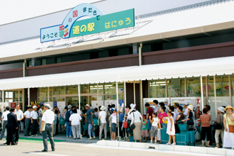 道の駅はにゅう