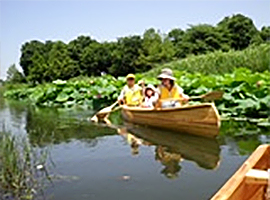 羽生水郷公園